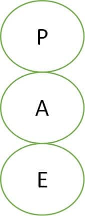 états du moi - analyse transactionnelle | Performance et coaching