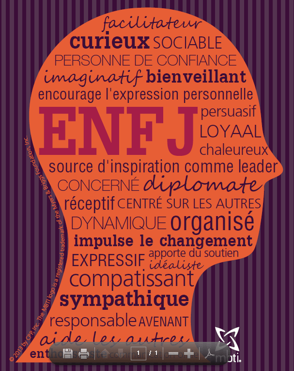 Profil MBTI type ENFJ - Performance et Coaching - Pierre Cochat coach certifié MBTI