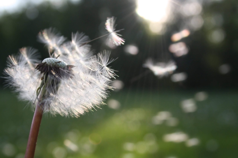 lacher prise pour rebondir | Performance et coaching