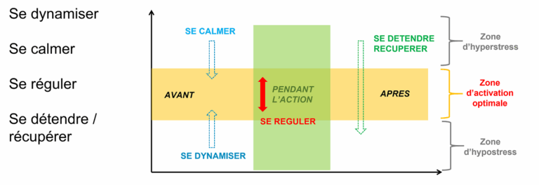 zone optimale d activation TOP | Performance et coaching