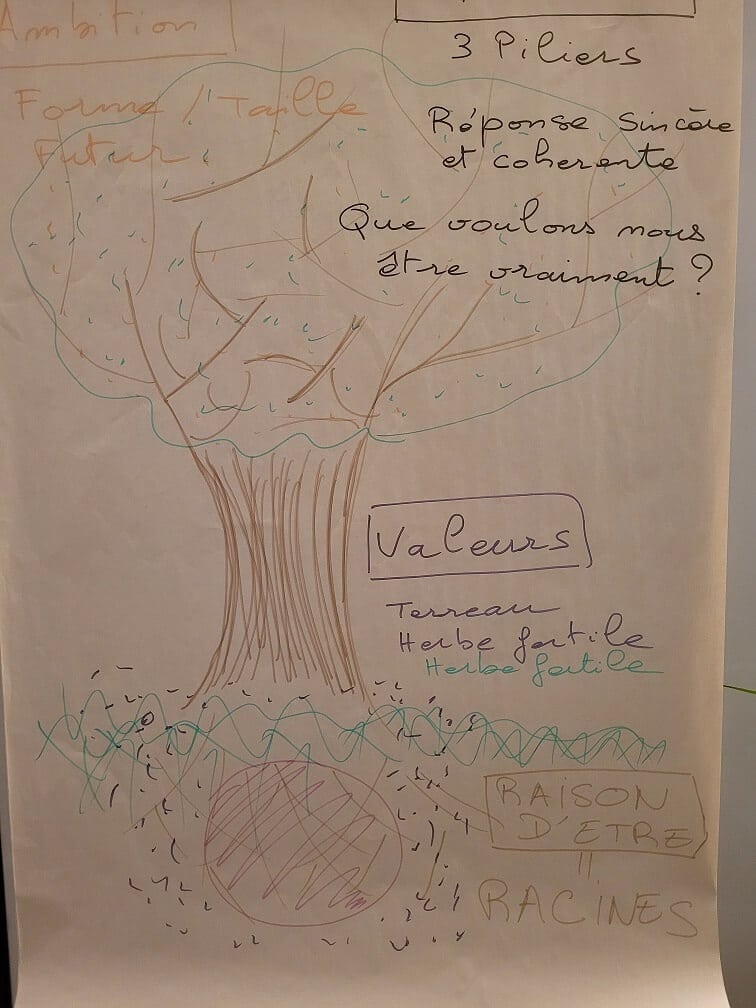 Arbre de vision d'entreprise Raison d'être / Valeurs / Ambition