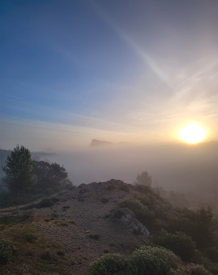 Montagne Pic Saint Loup au petit matin